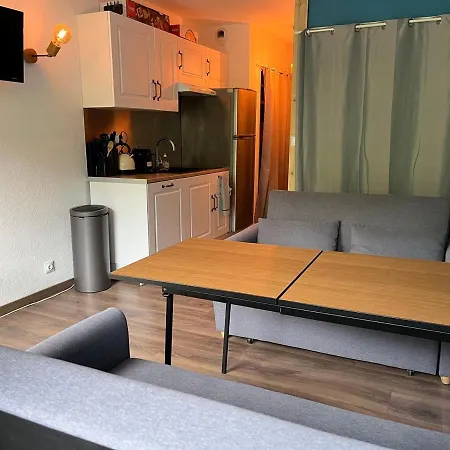Au Pied Des Pistes Avec Balcon Et Parking à - Fr-1-515-145 Appartement *